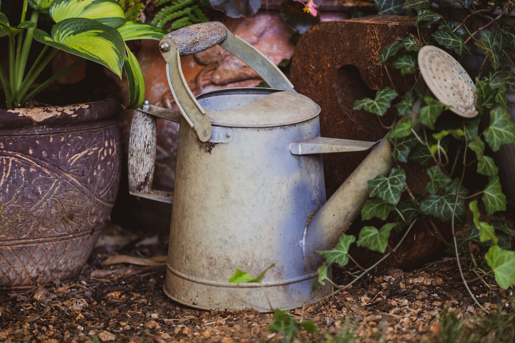 Rusty Watering Can